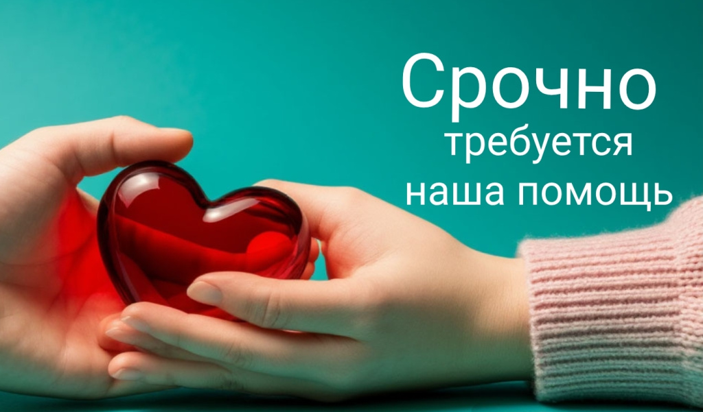 Изображение WhatsApp 2025-11-19 в 16.52.32_30a8e65c.jpg